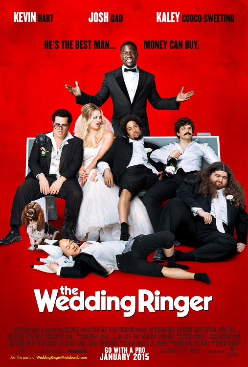 The Wedding Ringer / Шафер Напрокат  (2015)