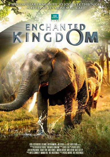 Enchanted Kingdom / Заколдованное королевство (2013)
