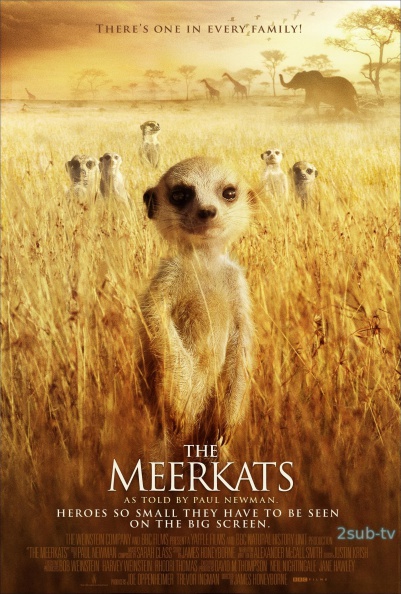 Meerkats / Сурикаты (2008)